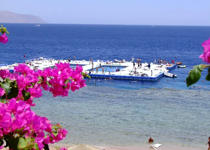 Domina Coral Bay Resort, Diving , & Casino Resort