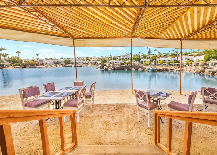 Domina Coral Bay Resort, Diving , & Casino 5* Sharm el Sheikh